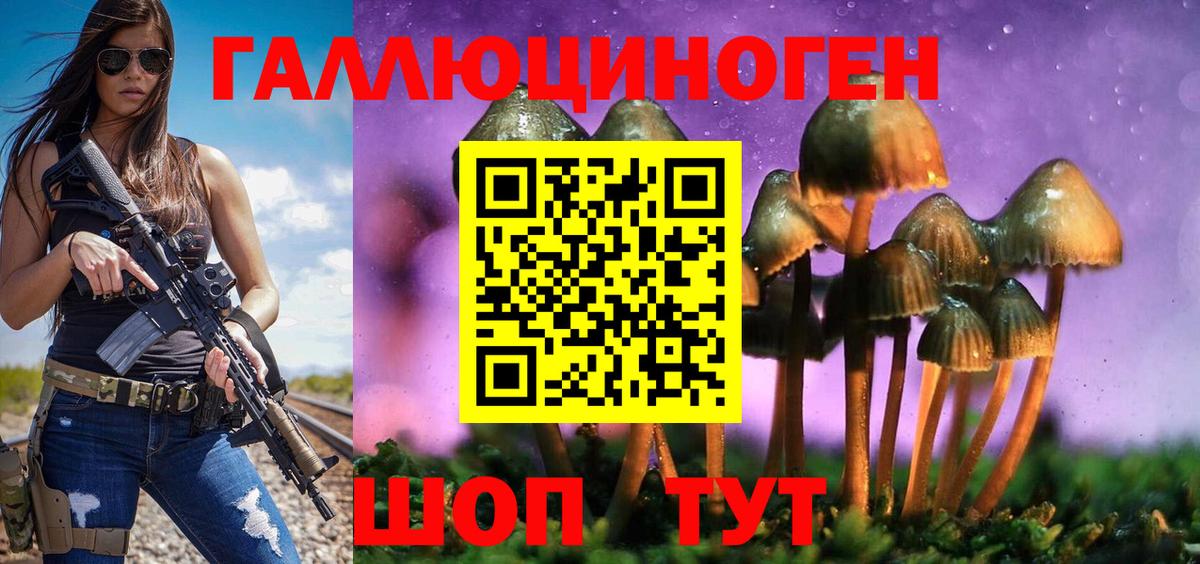 Псилоцибиновые грибы Psilocybine cubensis  Вход с VPN  Аргун 
