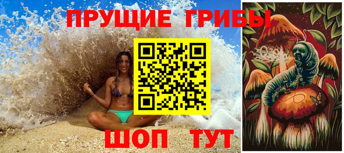 Галлюциногенные грибы Cubensis Аргун