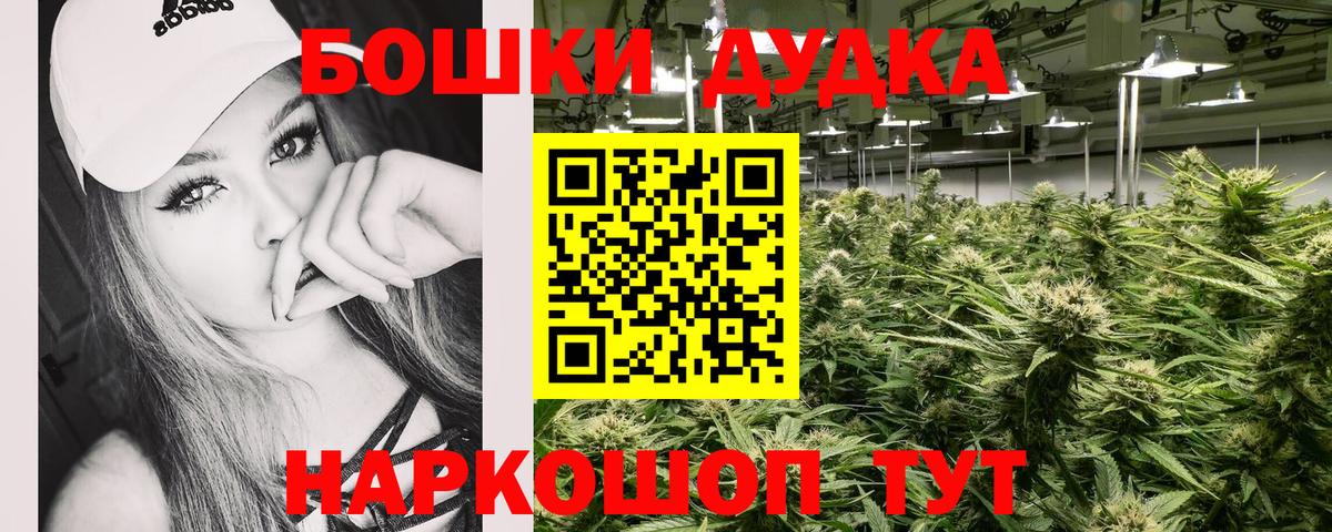 Аргун  Бошки Шишки White Widow  Канабис план  Вход с VPN 